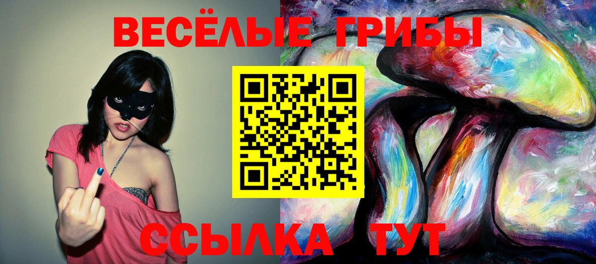 купить   Псилоцибиновые грибы MAGIC MUSHROOMS  Вход с VPN  Норильск 